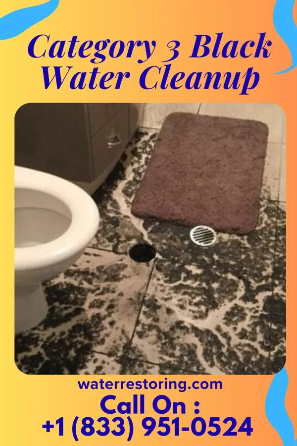 Category 3 Black Water Cleanup in Cedar Crest, MA
