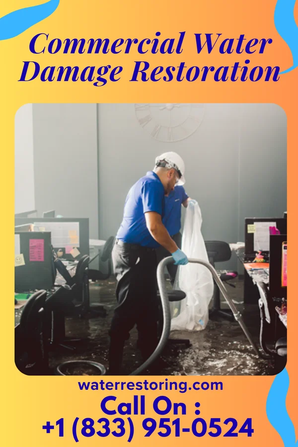Commercial Water Damage Restoration in Cedar Crest, MA