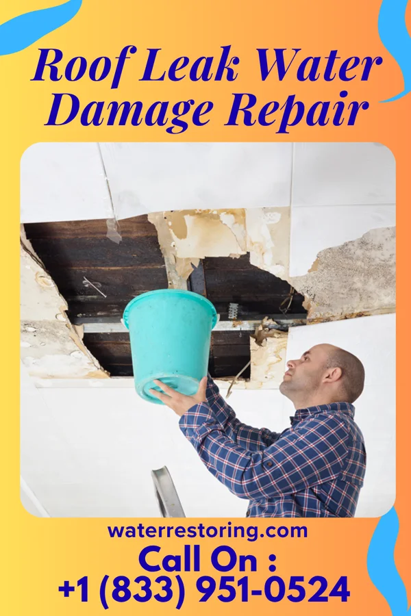 Roof Leak Water Damage Repair in Cedar Crest, MA