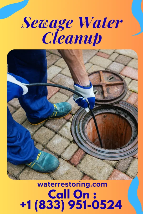 Sewage Water Cleanup in Cedar Crest, MA