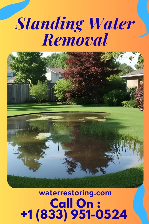 Standing Water Removal in Cedar Crest, MA